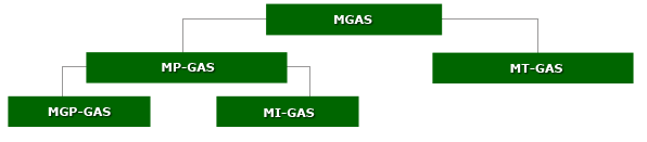 Struttura MGas