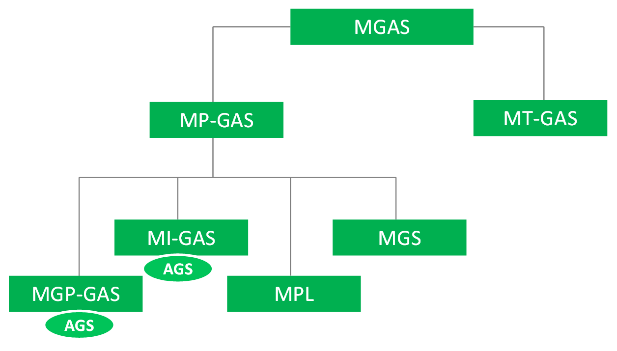 Struttura MGas